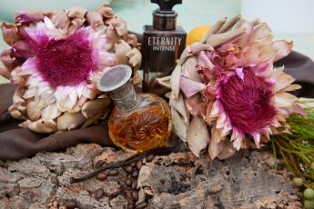 Lieblingsparfum Eternity