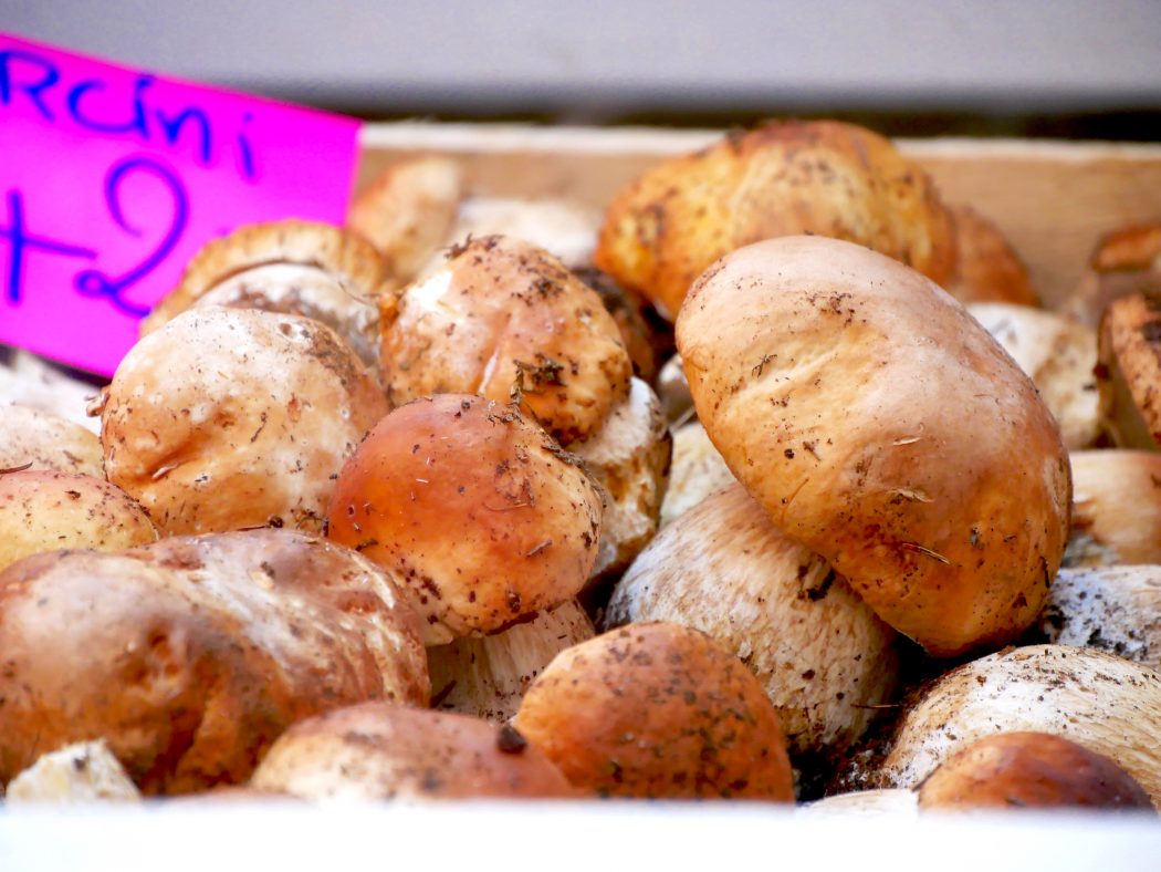 charismalook-carpaccio-steinpilze-marktstand-lugano