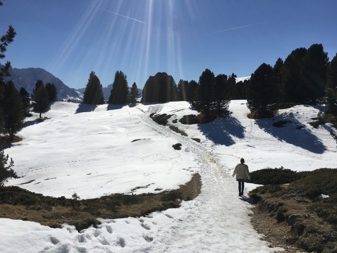 CharismaLook_Wanderweg_Winterwandern_Sonnenschein_Wald_Spaziergehen_Skifahren