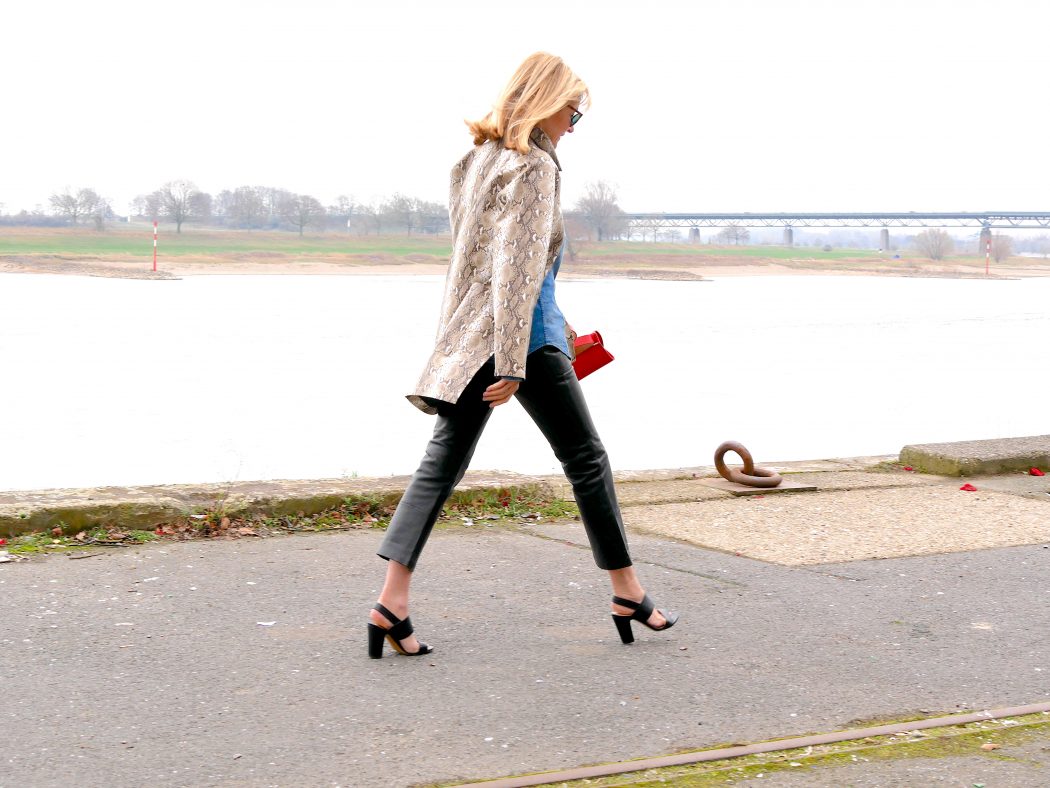 charismalook_animal_print_farben_muster_leder