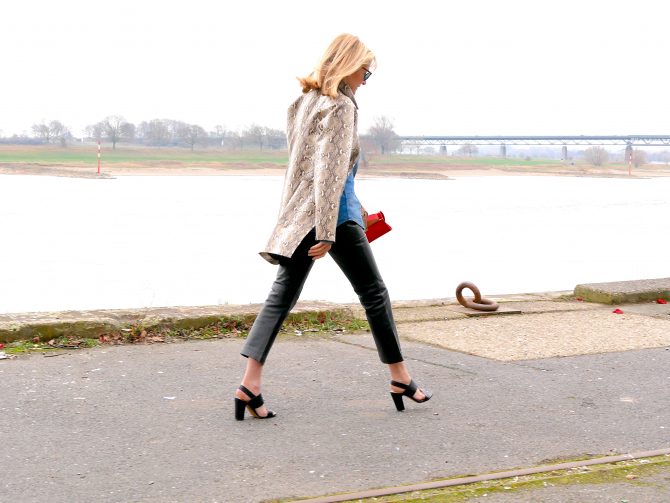 charismalook_animal_print_farben_muster_leder