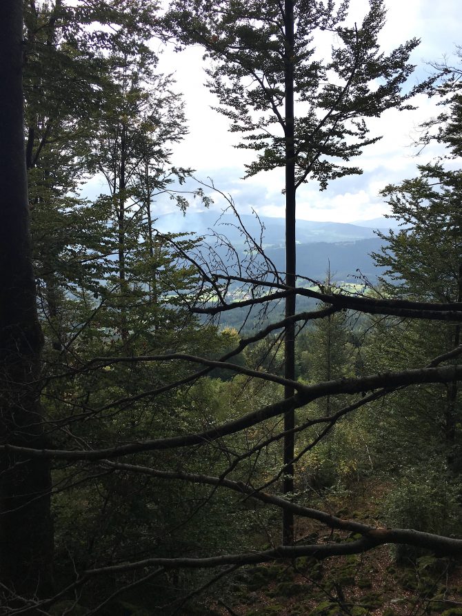 charismalook-bayerischen-wald-reise-urlaub-natur