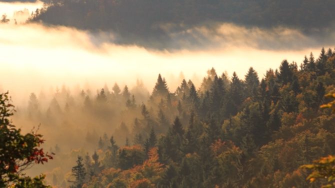 charismalook-bayerischen-wald-reise-urlaub-beitragsbild-natur