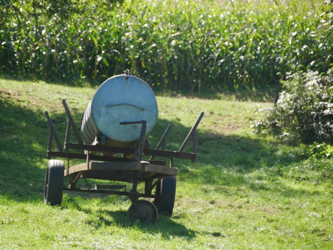 charismalook-bayerischen-wald-wiesen-herbst-reise-urlaub-schön