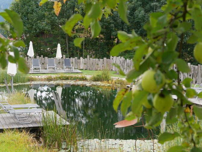 charismalook-bayerischen-wald-hotel-lindenwirt-naturteich