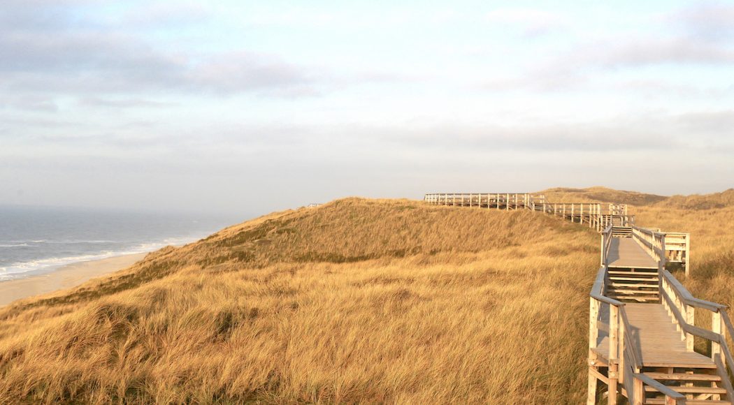 charismalook-sylt-beitragsbild-dünen-landschaft-himmelsleiter-winter