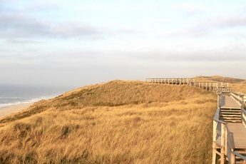 charismalook-sylt-beitragsbild-dünen-landschaft-himmelsleiter-winter