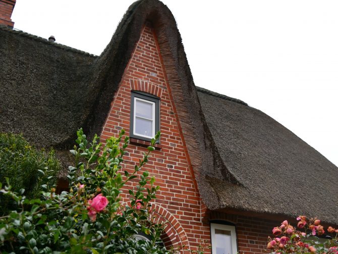 charismalook-sylt-reetdach-haus-giebel-rosenstrauch-winter