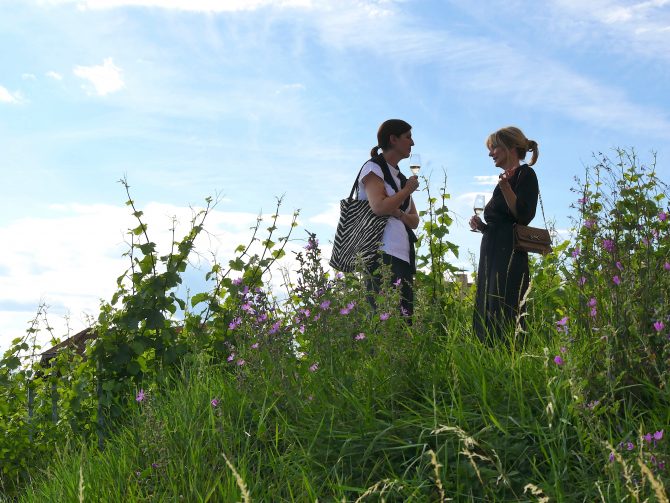 charismalook-krone-natur-weil-wein-hotels-restaurants-sommer2020-spots