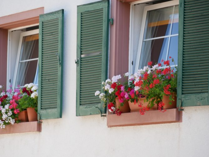 charismalook-krone-kunst-natur-urlaub-reisen-hotels-reisen-city-guide-sommer2020