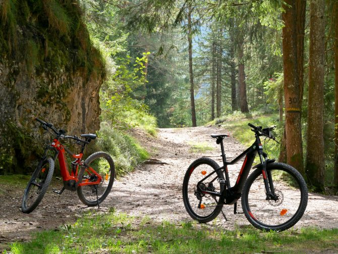 charismalook-zum-hirschen-reisen-biken-wald-wiesen