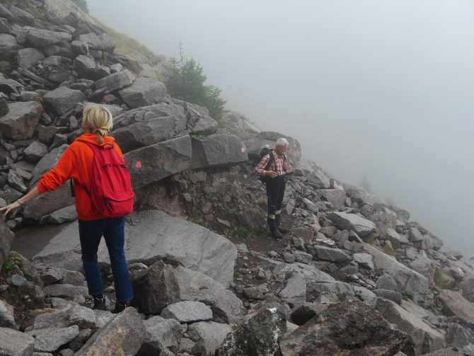 charismalook-zum-hirschen-reisen-südtirol-berge-nebel