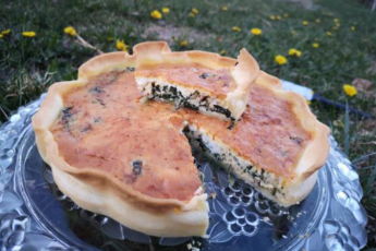 charismalook-löwenzahn-quiche-rezepte-kochen-geniessen