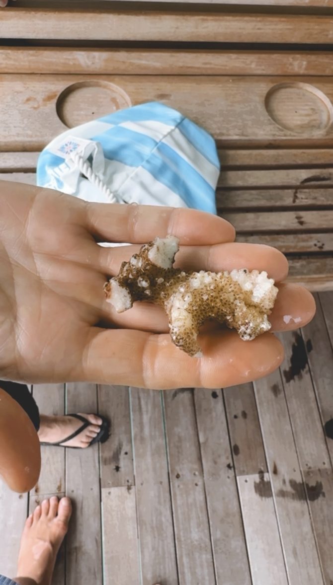 charismalook-finolhu-korallen-meer-sonne-reise