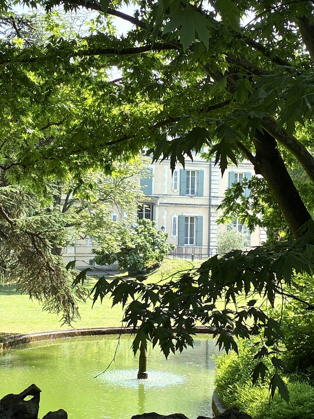 Provence: Verwunschener Blick durch Bäume auf das Château de Montcaud