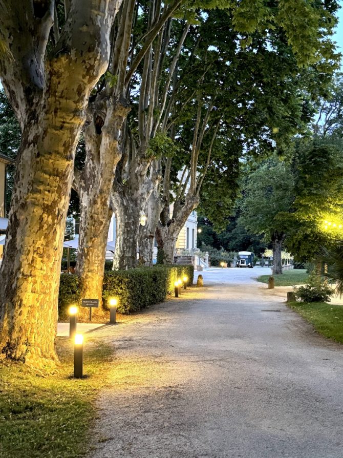 Provence: Die beleuchtete Allee zum Château de Montcaud bei Abendlicht